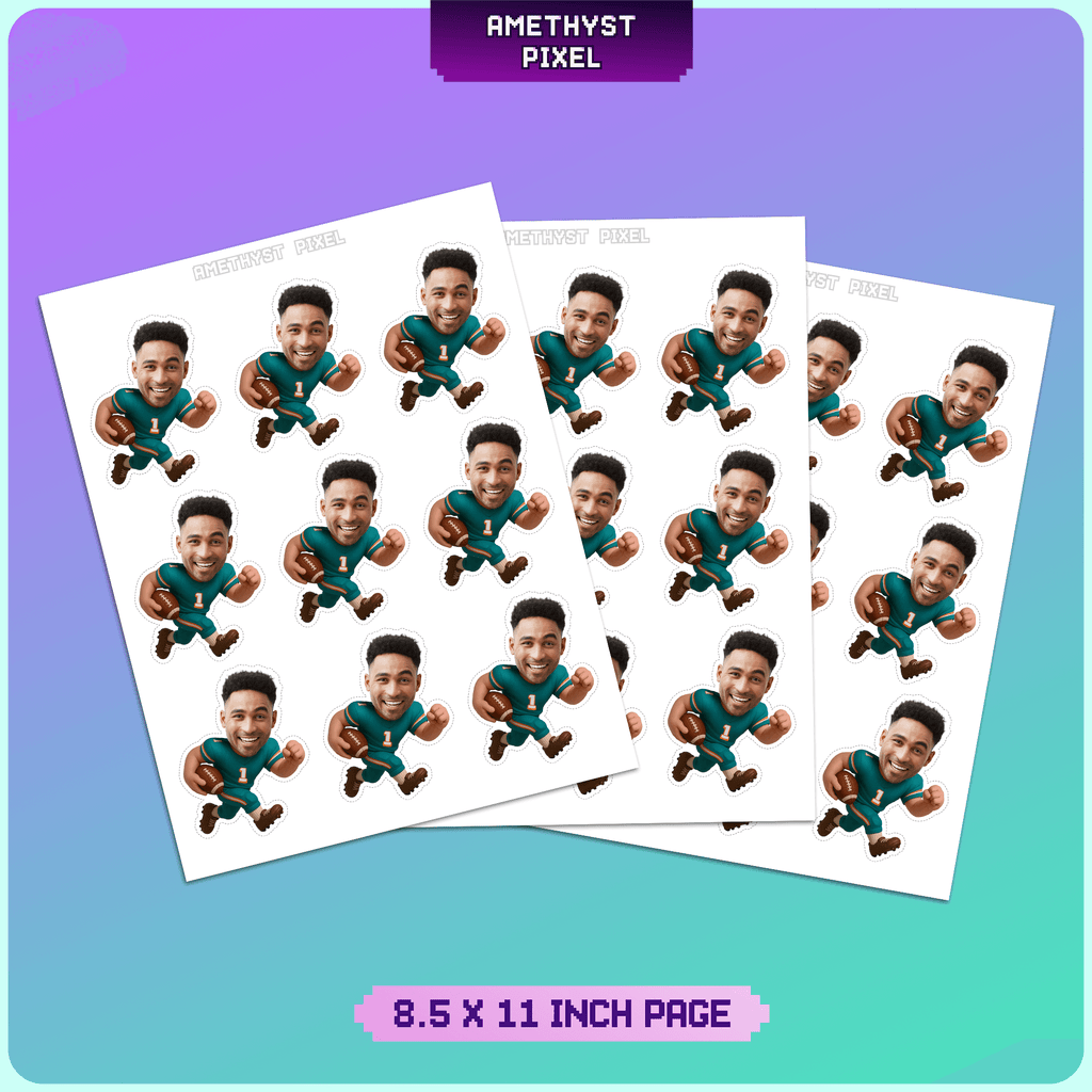 Miami Dolphins
